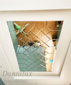 Trần Gương Mầu Trà D40