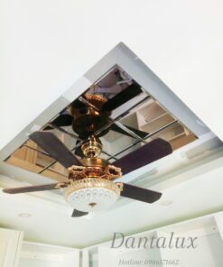 Trần Gương Mầu Trà D40