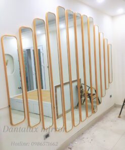 Gương toàn thân Khung Viền Hợp Kim Nhôm Cao Cấp D108