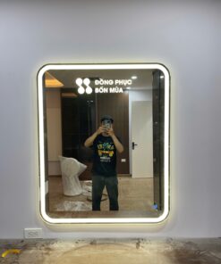 Gương Trang Trí Phòng Khách Có Đèn Led Cao Cấp D133
